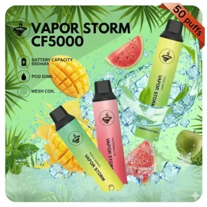 VAPOR STORM 5000 Puffs