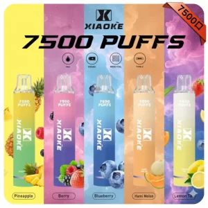 XiaoKe 7500