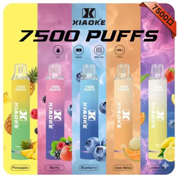 XiaoKe 7500
